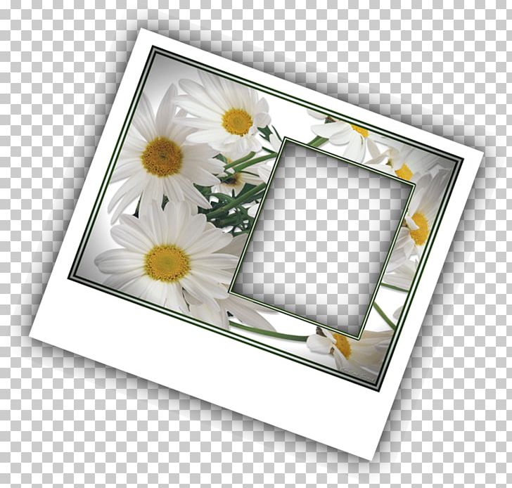 Frames PhotoScape Photography GIMP PNG, Clipart, Banja Luka Stock Exchange, Computer Mouse, Flower, Framing Effect, Gimp Free PNG Download