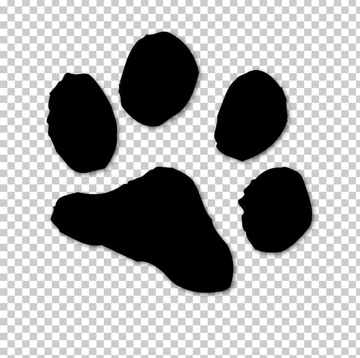 Sheepadoodle Urbana School District 116 Puppy PNG, Clipart, Animal, Black, Black And White, Breed, Difference Free PNG Download