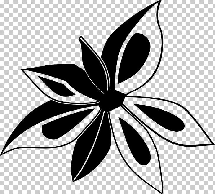 Star Anise PNG, Clipart, Anise, Artwork, Black And White, Cayenne Pepper, Clove Free PNG Download