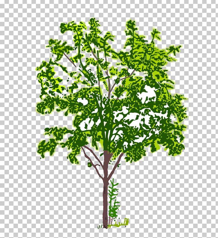 Tree Computer Icons PNG, Clipart, Branch, Computer Icons, Crown, Data, Flowering Plant Free PNG Download
