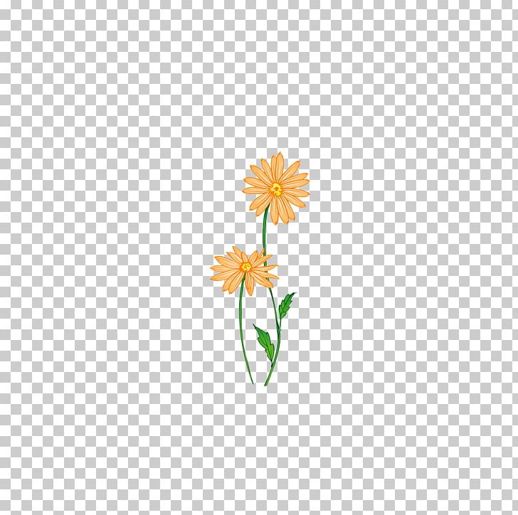 Petal Yellow Leaf Pattern PNG, Clipart, Chamomile, Chrysanthemum, Chrysanthemum Chrysanthemum, Chrysanthemum Flowers, Chrysanthemums Free PNG Download