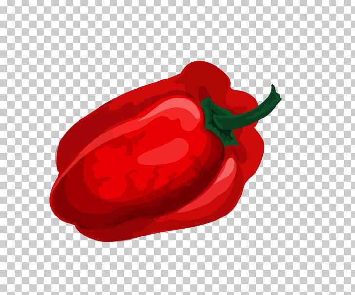 Bell Pepper Chili Pepper Vegetable PNG, Clipart, Animation, Bell Pepper, Cartoon, Cayenne Pepper, Chili Pepper Free PNG Download