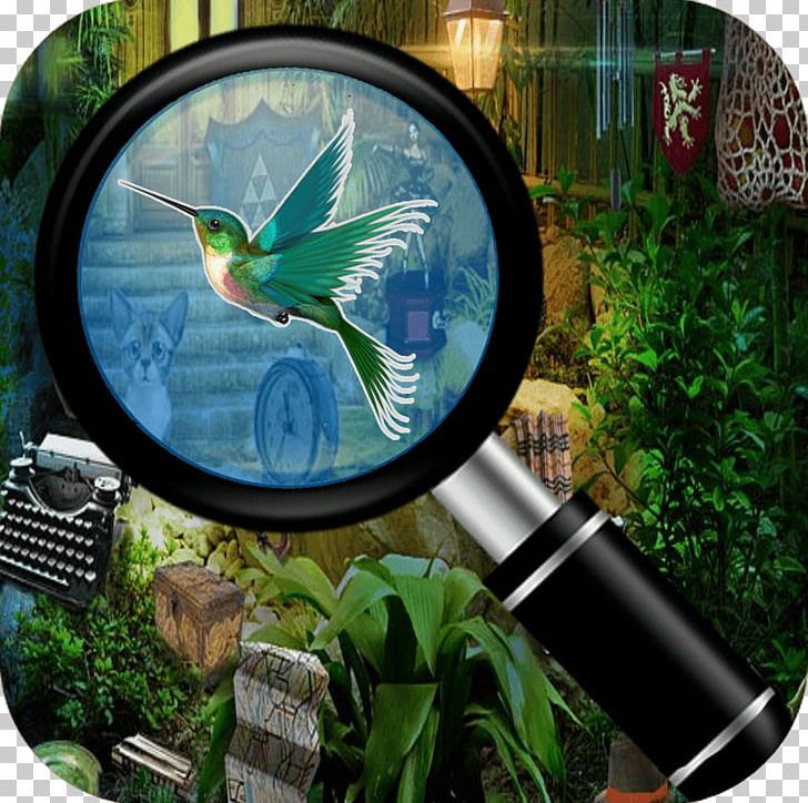 Ecosystem Water PNG, Clipart, App, Ecosystem, Flora, Grass, Hidden Free PNG Download