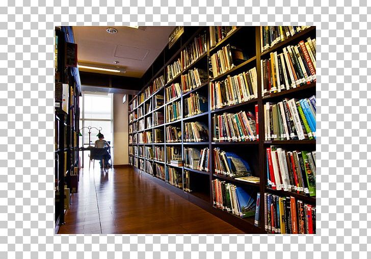 Public Library Library Science Interior Design Services Sky Interiors PNG, Clipart, Book, Bookcase, Bookselling, Building, India Free PNG Download