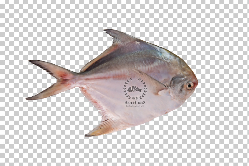 Fish Fish PNG, Clipart, Fish Free PNG Download