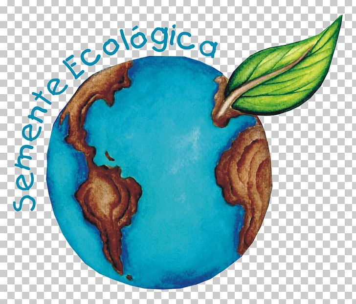 Ecology Environmental Education Organism Seed Natural Environment PNG, Clipart, Adaptation, Ecology, Education, Environmental Education, Mantenedora Free PNG Download