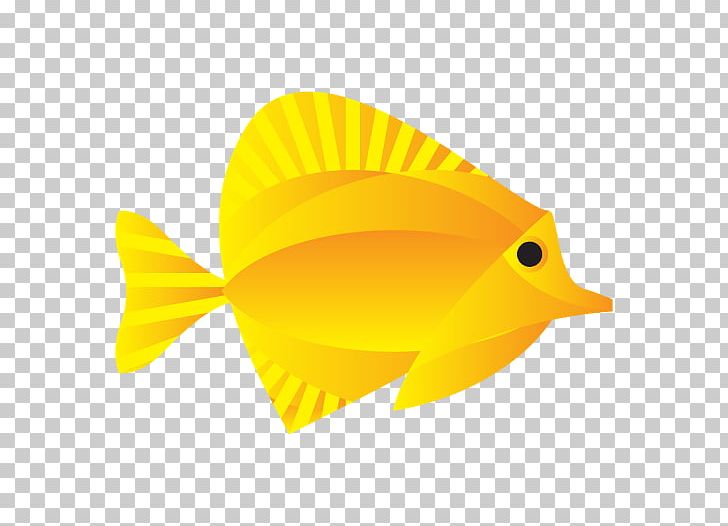 The Clever Fish Recruitment Limited Employment Organization Business PNG, Clipart, Beak, Business, Candidate, Clever, Employment Free PNG Download