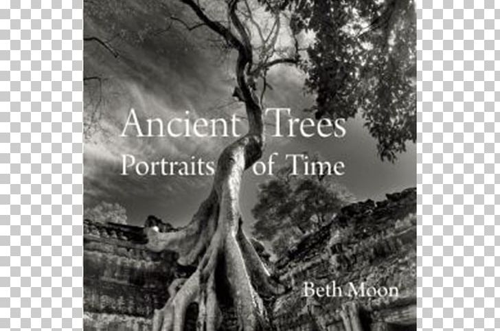 Ancient Trees: Portraits Of Time Amazon.com Photography The Hidden Life Of Trees: What They Feel PNG, Clipart, Amazoncom, Black And White, Book, Bookselling, Hardcover Free PNG Download