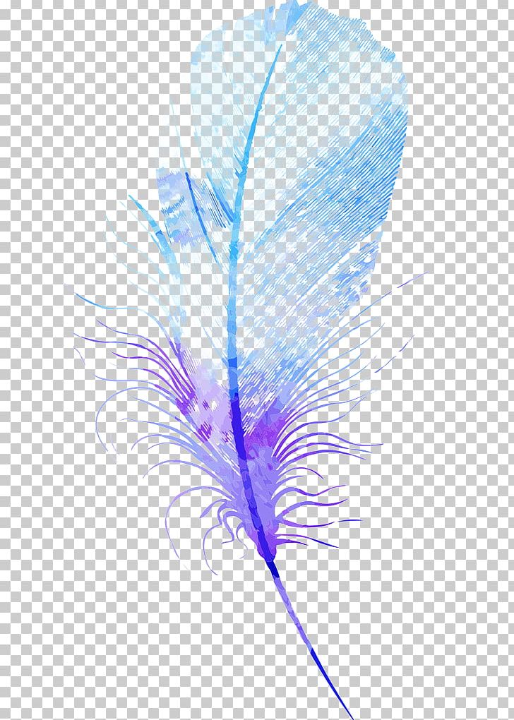 Feather Euclidean PNG, Clipart, Animals, Blue, Color, Drawing, Effect Free PNG Download
