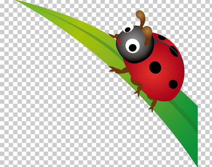 Beetle Leaf Lady Bird PNG, Clipart, Animals, Beetle, Grass, Insect, Invertebrate Free PNG Download
