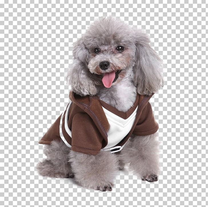 Costume Hoodie Robe Dog Clothing PNG, Clipart, Animals, Clothing, Companion Dog, Cosplay, Costume Free PNG Download