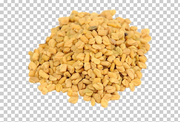 Fenugreek Indian Cuisine Ancient Roman Cuisine Food Sprouting PNG, Clipart, Ancient Roman Cuisine, Cereal Germ, Commodity, Culinary Art, Fenugreek Free PNG Download