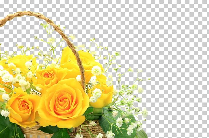 Garden Roses Photography Mother's Day PNG, Clipart,  Free PNG Download