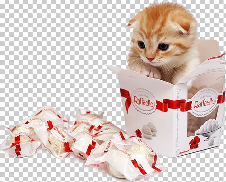 Kitten Turkish Van Puppy Van Cat Raffaello PNG, Clipart, Animal, Animals, Breed, Candy, Cat Free PNG Download