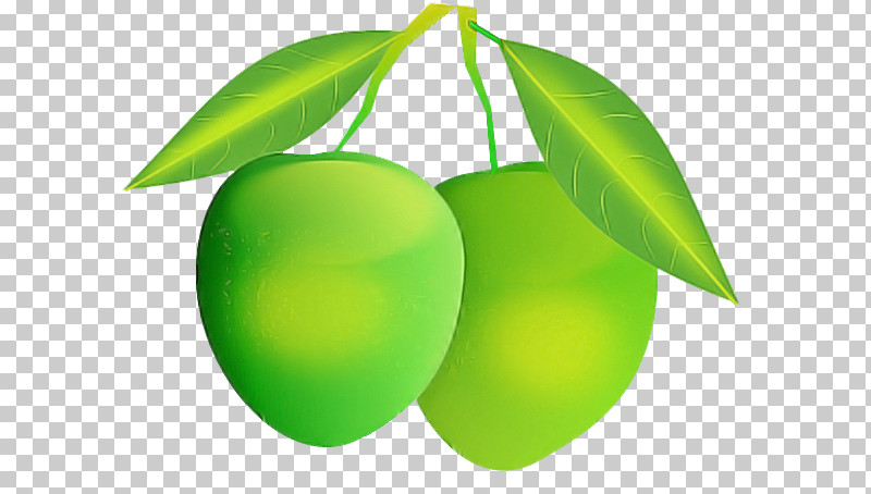 Mango PNG, Clipart, Animation, Cartoon, Citrus, Fruit, Kiwi Free PNG Download