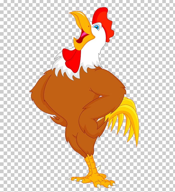 Chicken Drawing Rooster PNG, Clipart, Art, Beak, Bird, Cartoon, Chicken Free PNG Download