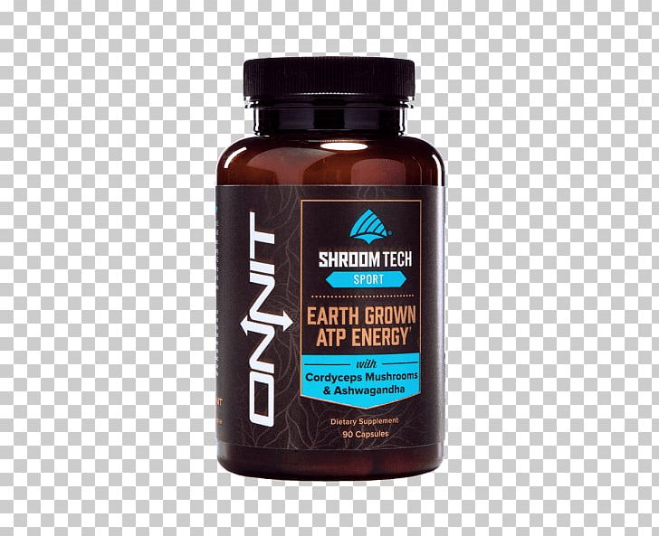 Dietary Supplement Nootropic Lingzhi Mushroom Onnit Labs Energy PNG, Clipart, Acetylcysteine, Adenosine Triphosphate, Capsule, Cordyceps, Dietary Supplement Free PNG Download
