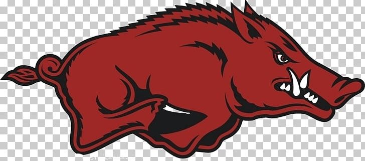 Donald W. Reynolds Razorback Stadium Arkansas Razorbacks Football Arkansas Razorbacks Men's Basketball War Memorial Stadium Southeastern Conference PNG, Clipart, Animals, Carnivoran, Cartoon, Clip Art, Design Free PNG Download