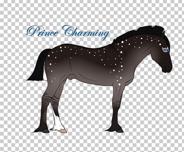 Stallion Mustang Foal Mare Halter PNG, Clipart,  Free PNG Download
