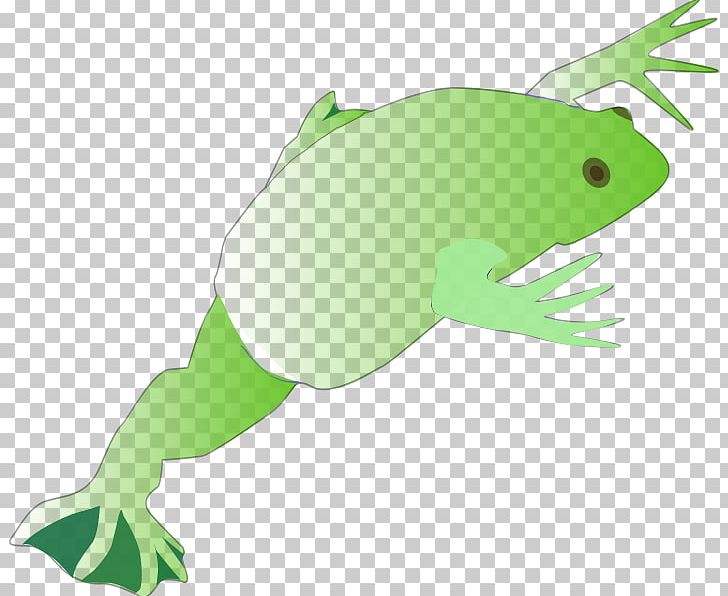 Tree Frog True Frog Reptile PNG, Clipart, Amphibian, Animals, Fauna, Fish, Frog Free PNG Download