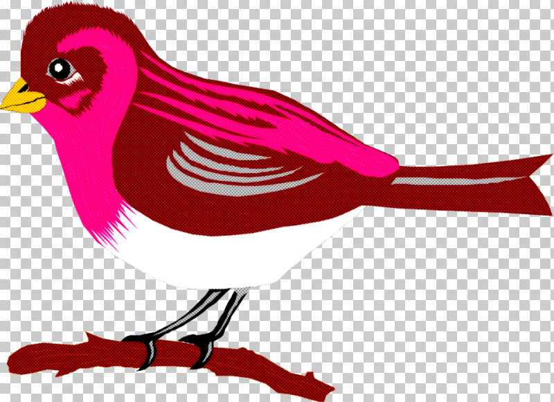 Bird Beak Cardinal Songbird Perching Bird PNG, Clipart, Beak, Bird, Cardinal, Finch, Perching Bird Free PNG Download