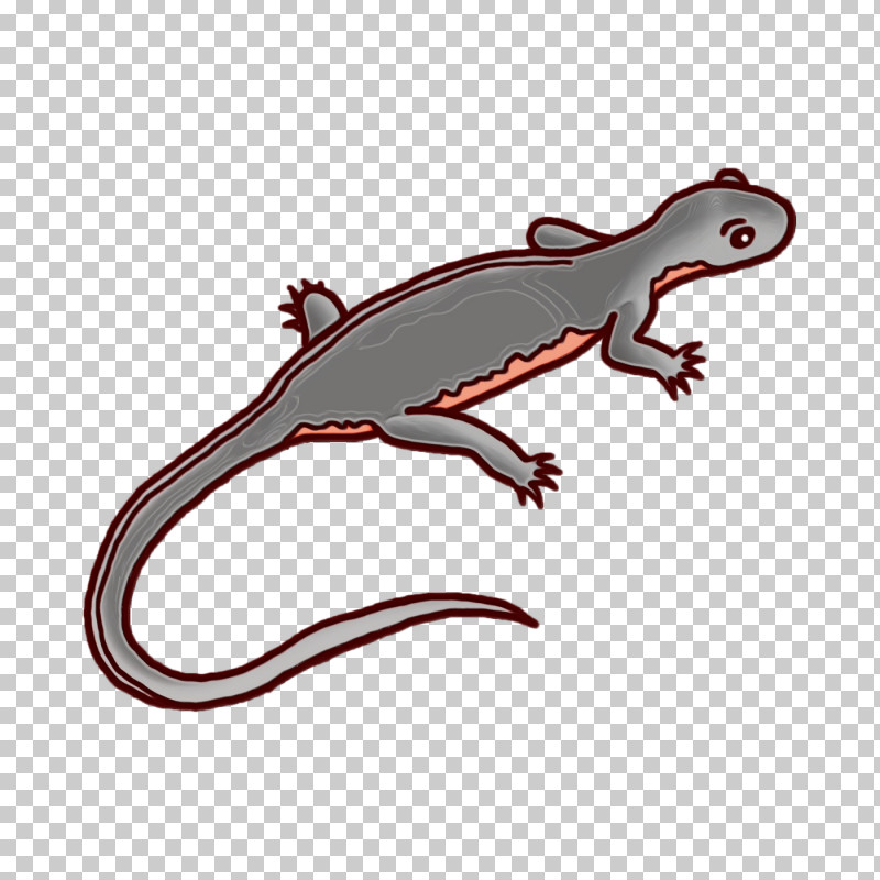 Gecko Amphibians Lizard Biology Science PNG, Clipart, Amphibians, Biology, Gecko, Lizard, Paint Free PNG Download