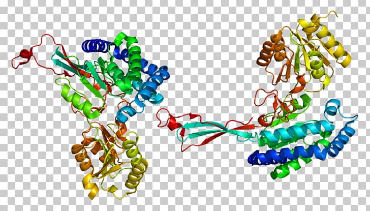 Aldehyde Dehydrogenase 18 Family PNG, Clipart, 5 G, Acetaldehyde, Acetaldehyde Dehydrogenase, Aldehyde, Aldehyde Dehydrogenase Free PNG Download
