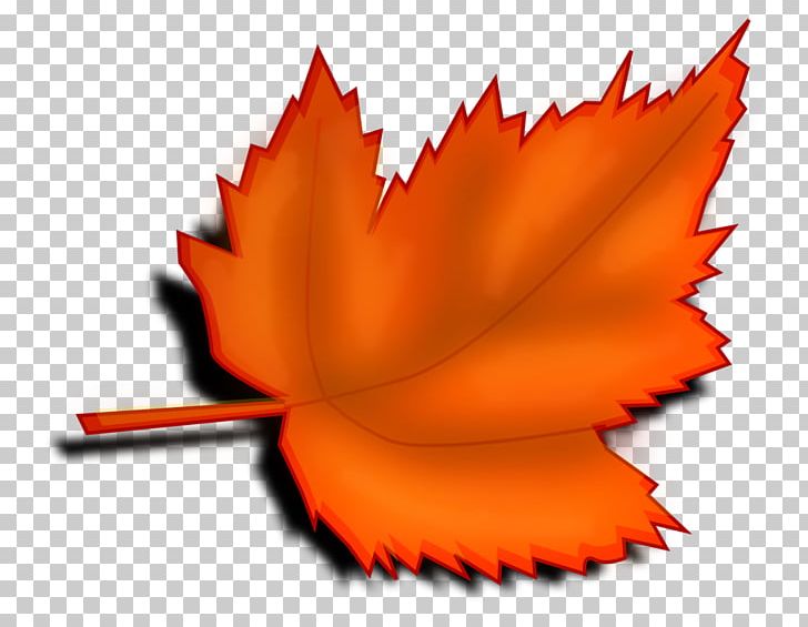 Autumn Leaf Color PNG, Clipart, Alder, Autumn, Autumn Leaf Color, Color, Computer Icons Free PNG Download