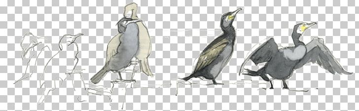 Beak Flightless Bird Feather Sketch PNG, Clipart, Animal, Animal Figure, Animals, Artwork, Beak Free PNG Download