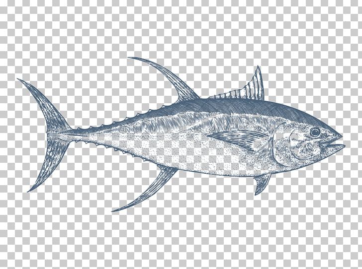 Mackerel Swordfish Thon Thunnus Albacore PNG, Clipart, Animals, Billfish, Bonito, Bony Fish, Dorsal Fin Free PNG Download