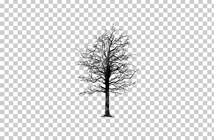 Twig Tree Editing PNG, Clipart, 12 June, Black And White, Blog, Branch, Cropping Free PNG Download