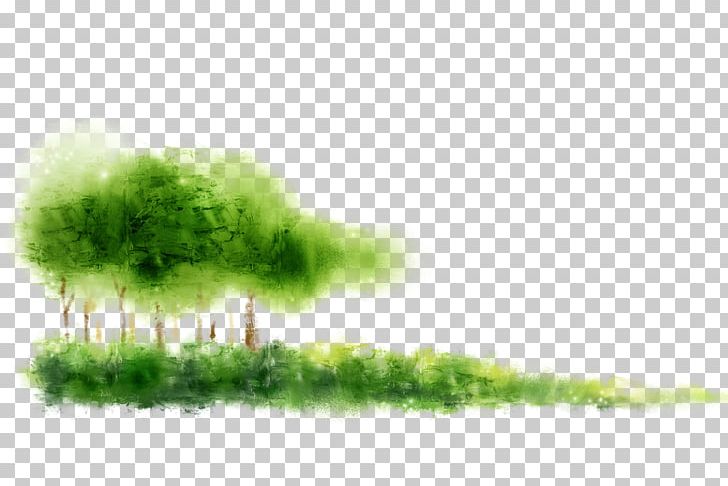 Computer File PNG, Clipart, Branch, Color, Ecosystem, Encapsulated Postscript, Euclidean Vector Free PNG Download