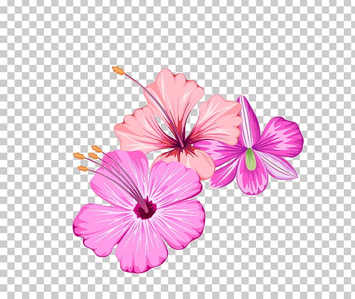 Flower PNG, Clipart, Adobe Illustrator, Computer Icons, Cut Flowers, Design, Encapsulated Postscript Free PNG Download