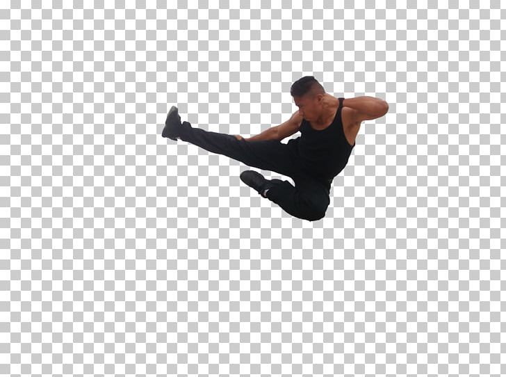 bruce lee flying kick logo