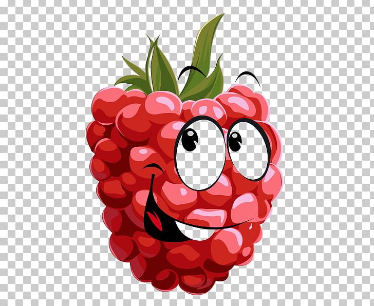 Fruit Raspberry PNG, Clipart, Berry, Blackberry, Boysenberry, Flower, Food Free PNG Download