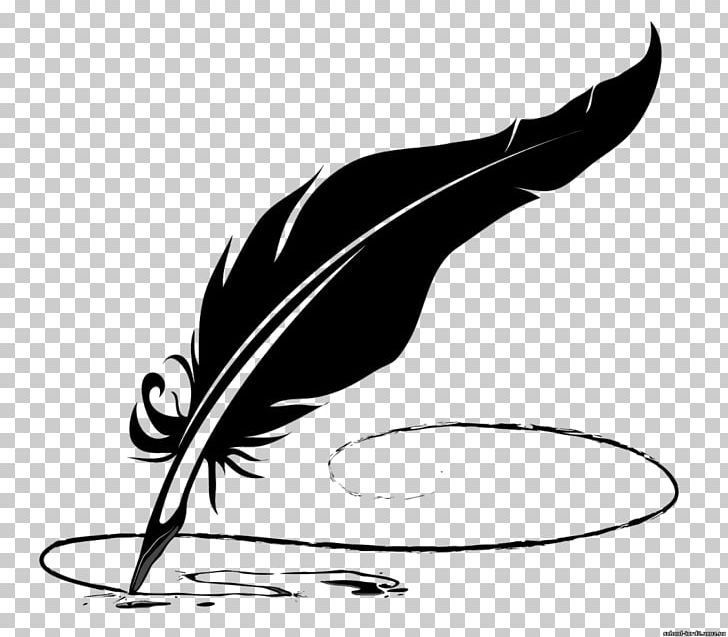 Pen Feather Newton's Rings Quill PNG, Clipart, Animals, Art, Beak, Bird, Black Free PNG Download