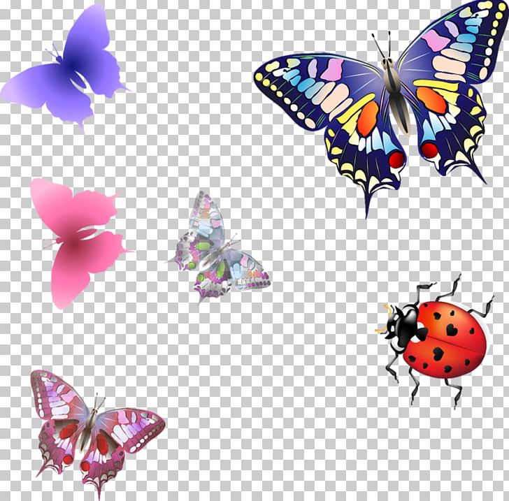 Butterfly Nymphalidae PNG, Clipart, Arthropod, Brush Footed Butterfly, Butterflies And Moths, Butterfly, Color Free PNG Download