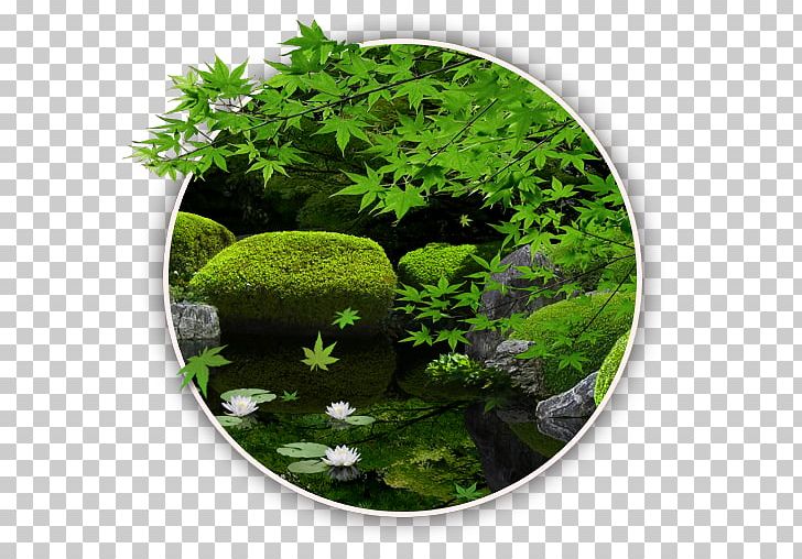 Color Zen My Moody Free PNG, Clipart, Android, App Store, Aquatic Plant, Download, Flora Free PNG Download