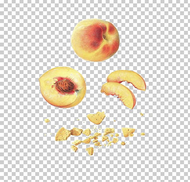 Peach Fruit PNG, Clipart, Auglis, Creative, Creative Fruit, Diet Food, Download Free PNG Download