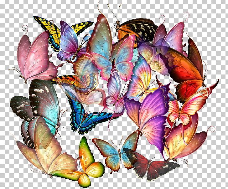 Butterfly Insect Photography PNG, Clipart, Art, Brush Footed Butterfly, Butterflies And Moths, Butterfly, Flower Free PNG Download