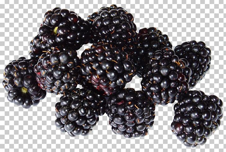 Smoothie Blackberry Fruit Black Raspberry PNG, Clipart, Berry, Blackberry, Blackberry Png, Black Raspberry, Blueberry Free PNG Download