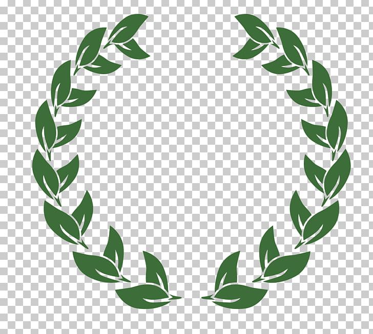 United States Logo Graphic Design Laurel Wreath PNG, Clipart, Award, Branch, Branches, Branch Vector, Film Free PNG Download