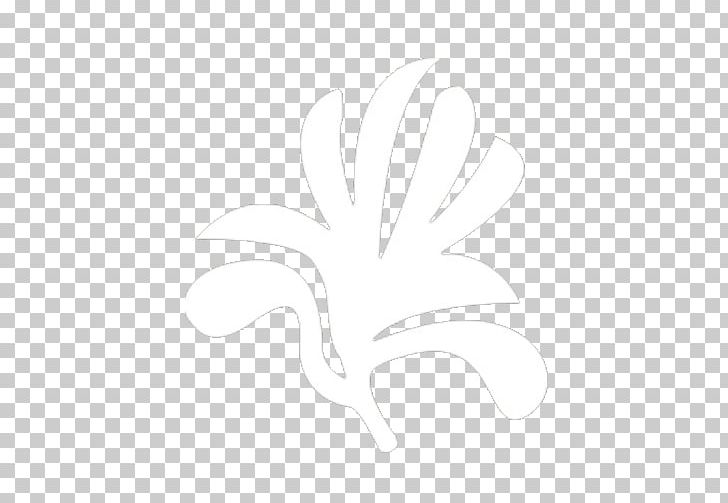 Petal H&M Leaf Desktop Pattern PNG, Clipart, Black, Black And White, Computer, Computer Wallpaper, Desktop Wallpaper Free PNG Download