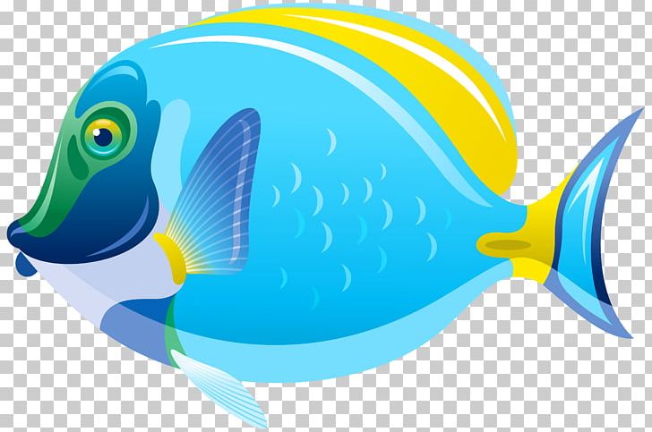 Saltwater Fish PNG, Clipart, Animals, Aqua, Beak, Clip Art, Clownfish Free PNG Download