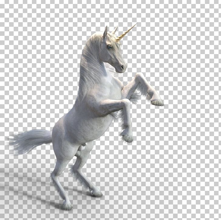 White Unicorn PNG, Clipart, 150, Animal, Black White, Dpi, Encapsulated Postscript Free PNG Download