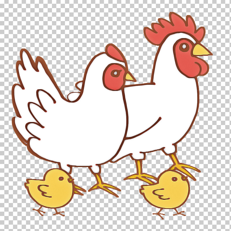 Rooster Birds Beak Chicken Water Bird PNG, Clipart, Beak, Birds, Cartoon, Chicken, Drawing Free PNG Download
