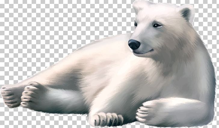 Polar Bear Brown Bear Arctic PNG, Clipart, Animals, Arctic, Bear, Brown Bear, Carnivoran Free PNG Download