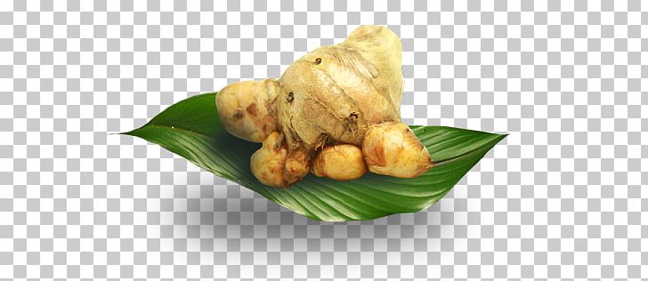 Rhizome Plant Temulawak Tuber Crop PNG, Clipart, Akar, Benih, Bryophyllum Pinnatum, Bulb, Cara Free PNG Download