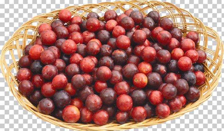 Common Plum Fruit Icon PNG, Clipart, Albom, Auglis, Baskets, Berry, Cherry Pie Free PNG Download