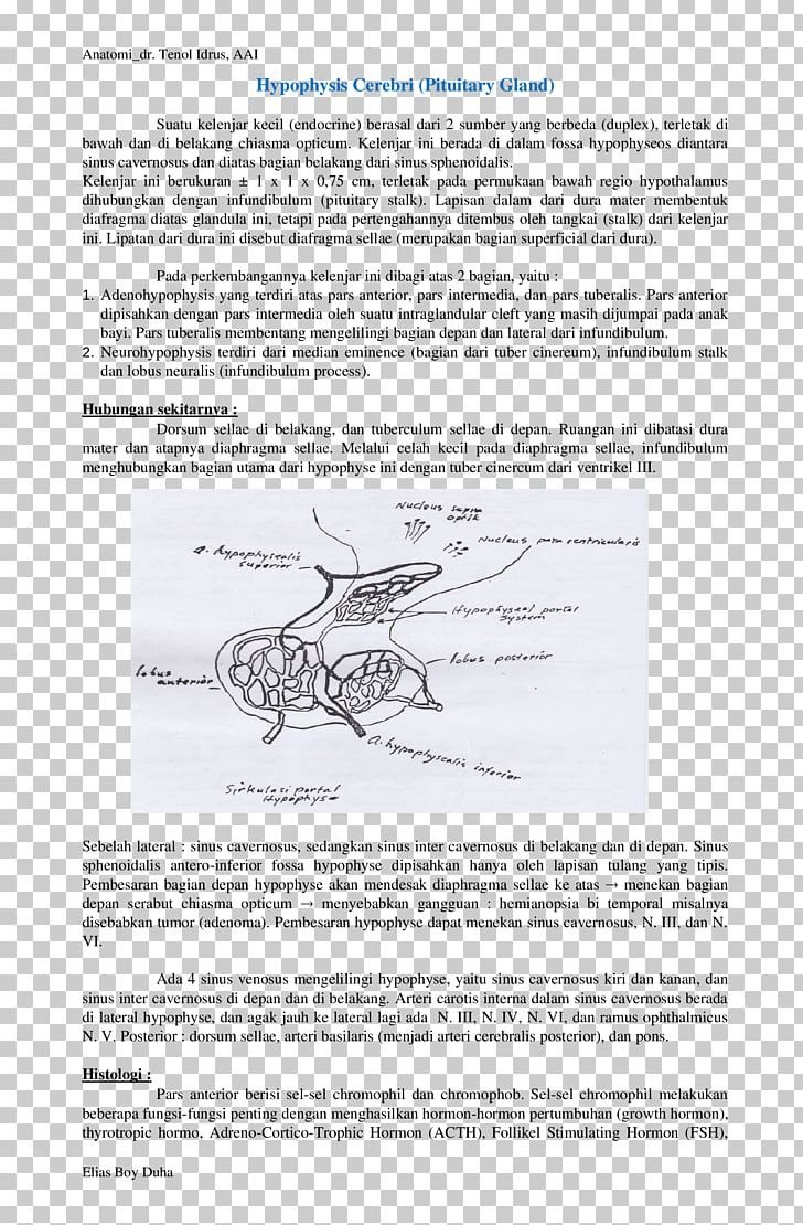 Document Line Angle Organism PNG, Clipart, Angle, Area, Art, Black And White, Diagram Free PNG Download